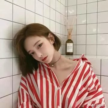 群兽